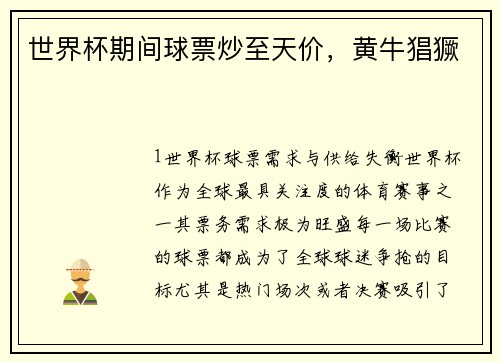 世界杯期间球票炒至天价，黄牛猖獗