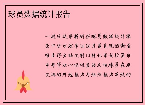 球员数据统计报告